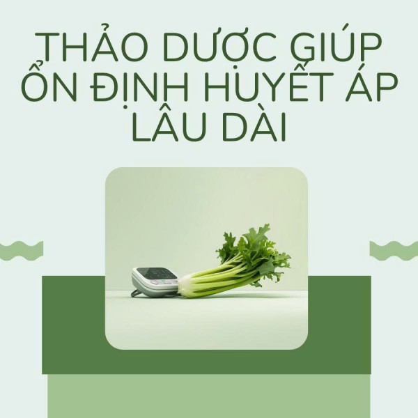 Giải pháp mới giúp ổn định huyết áp và bảo vệ hệ tim mạch tại nhà